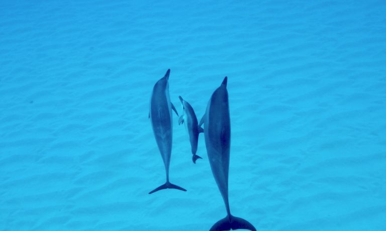 0069BestPhoto-3