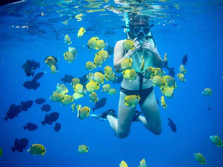 West oahu snorkeling