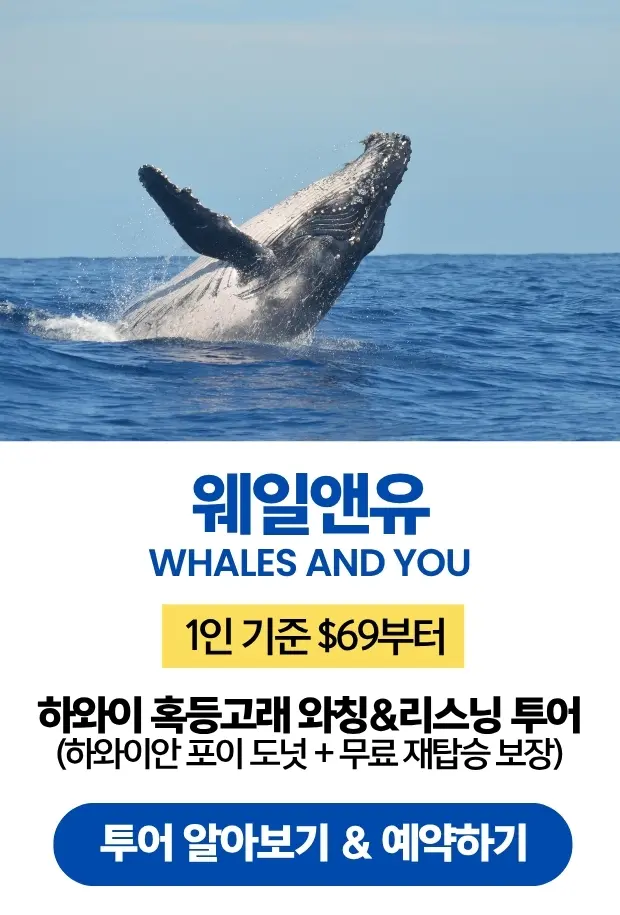 웨일앤유