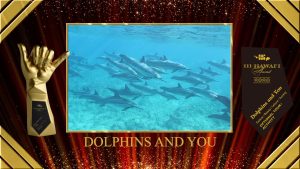 Read more about the article ハワイファンが選ぶ投票「111 Hawaii Award」でドルフィン＆ユーが今年もハワイのベストツアーに選ばれました！