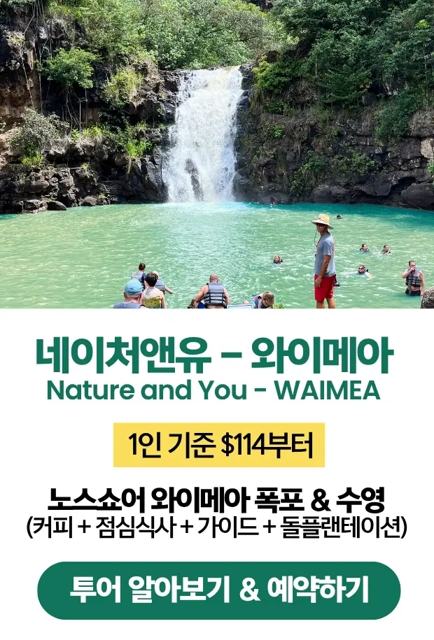 와이메아