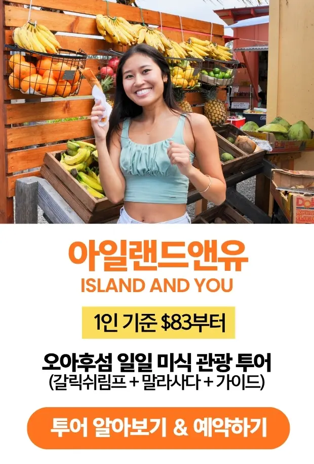 아일랜드앤유