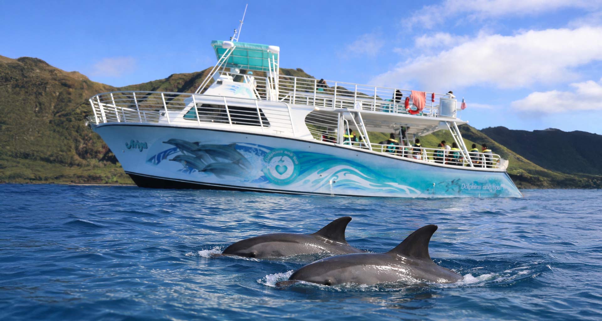 You are currently viewing First-Time Oahu Dolphin Tour? Read This Before You Go