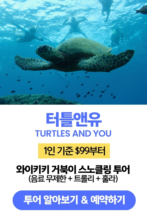 터틀앤유