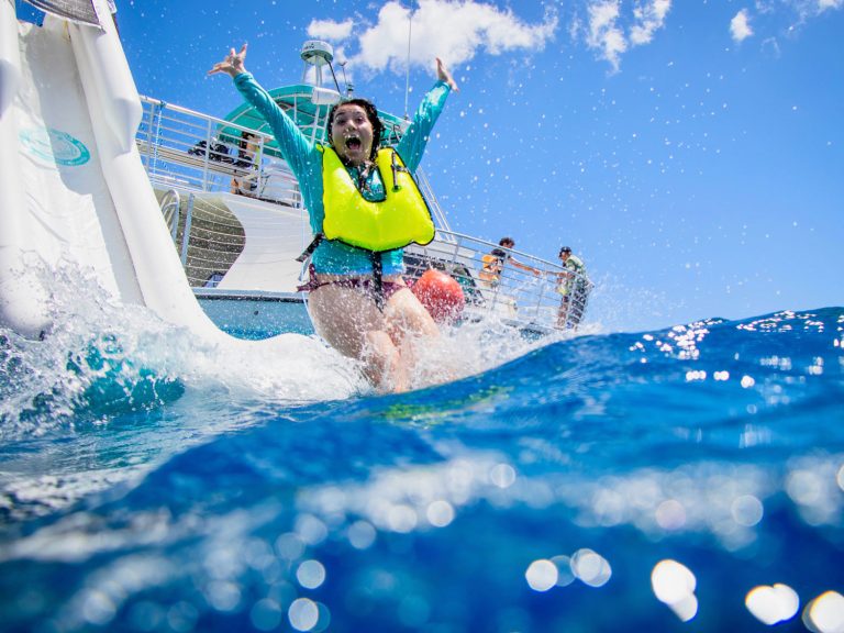 Dolphins and you water slide