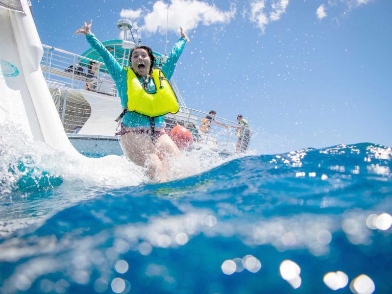 dolphins and you water slide