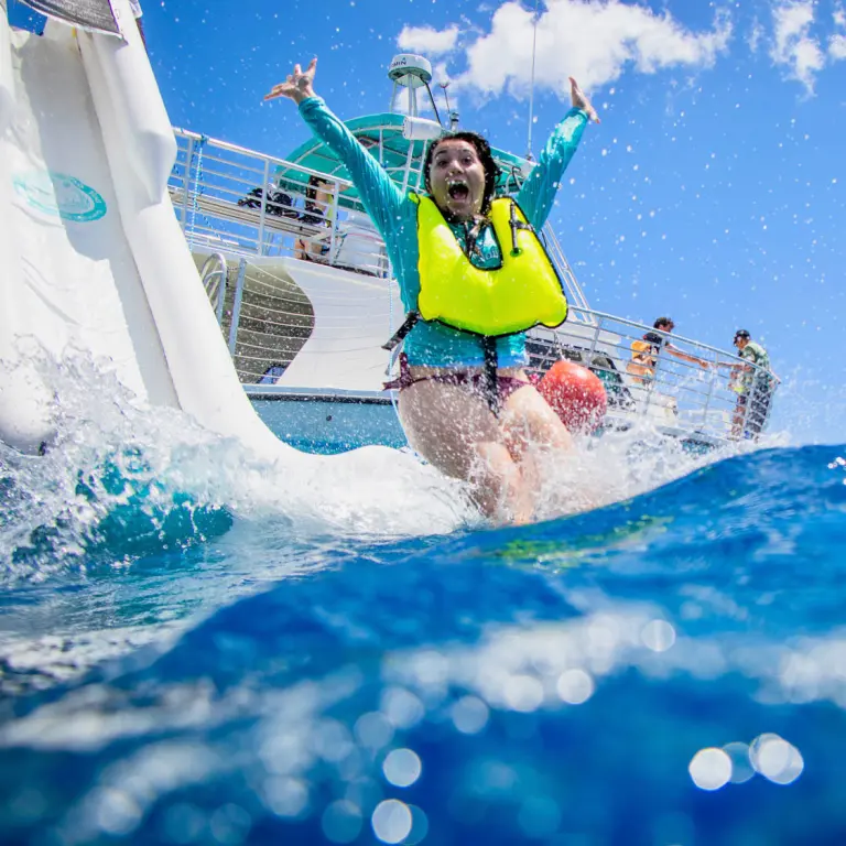 Oahu dolphin tour water slide