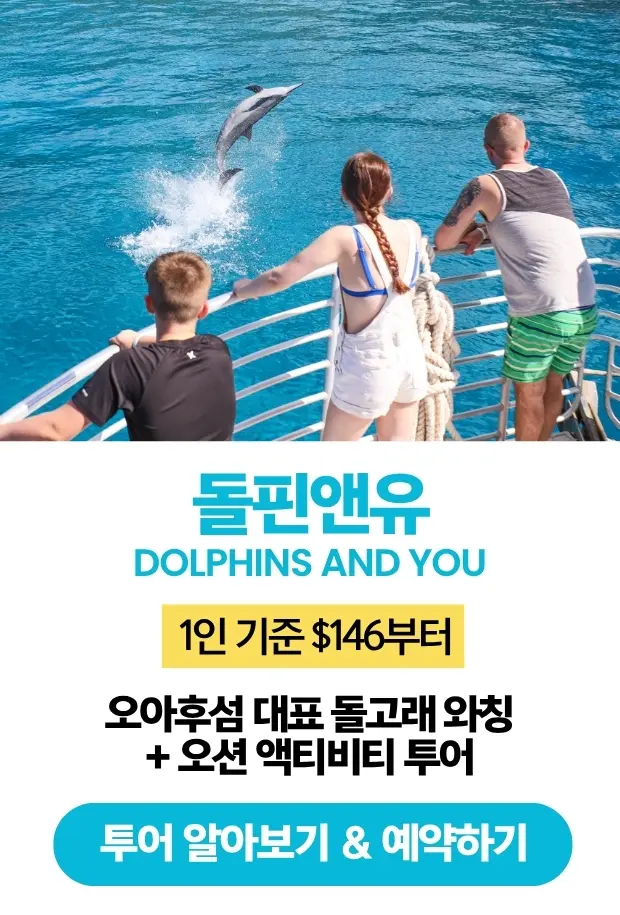 돌핀앤유