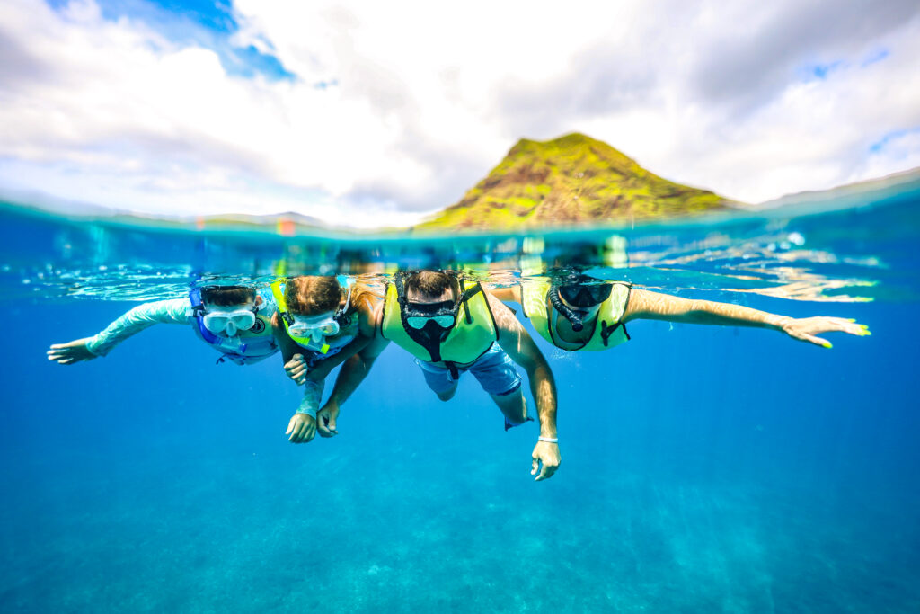 Oahu Pearl Harbor Dolphin Combo