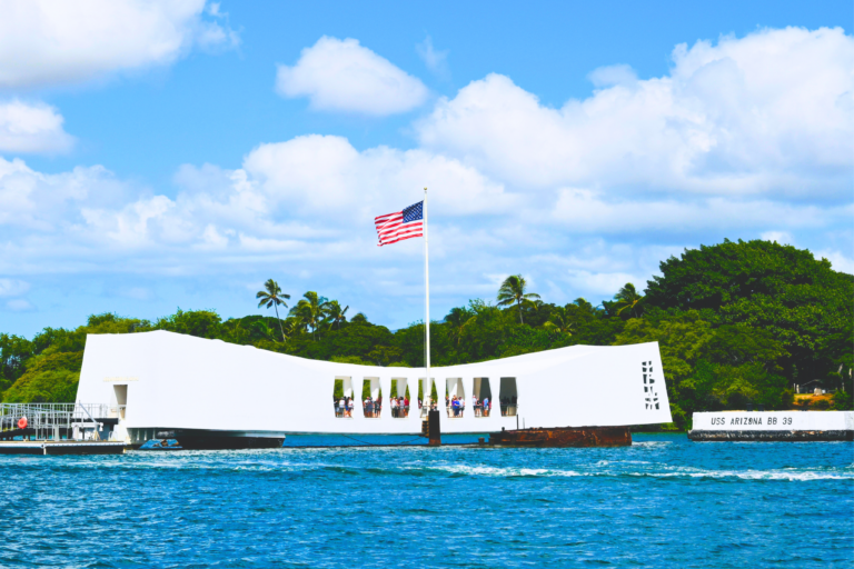 Oahu Pearl Harbor Dolphin