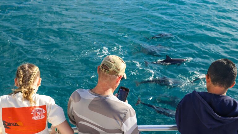 West Oahu Dolphin Watching Tour