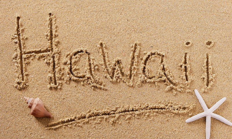 Hawaii written in the sand with a brown shell on the left and a white starfish on the right