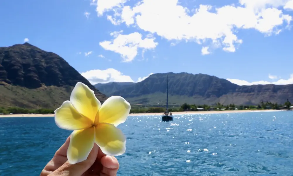 Read more about the article Moana Filming Locations in Oahu: Real West Side Spots You Can Visit