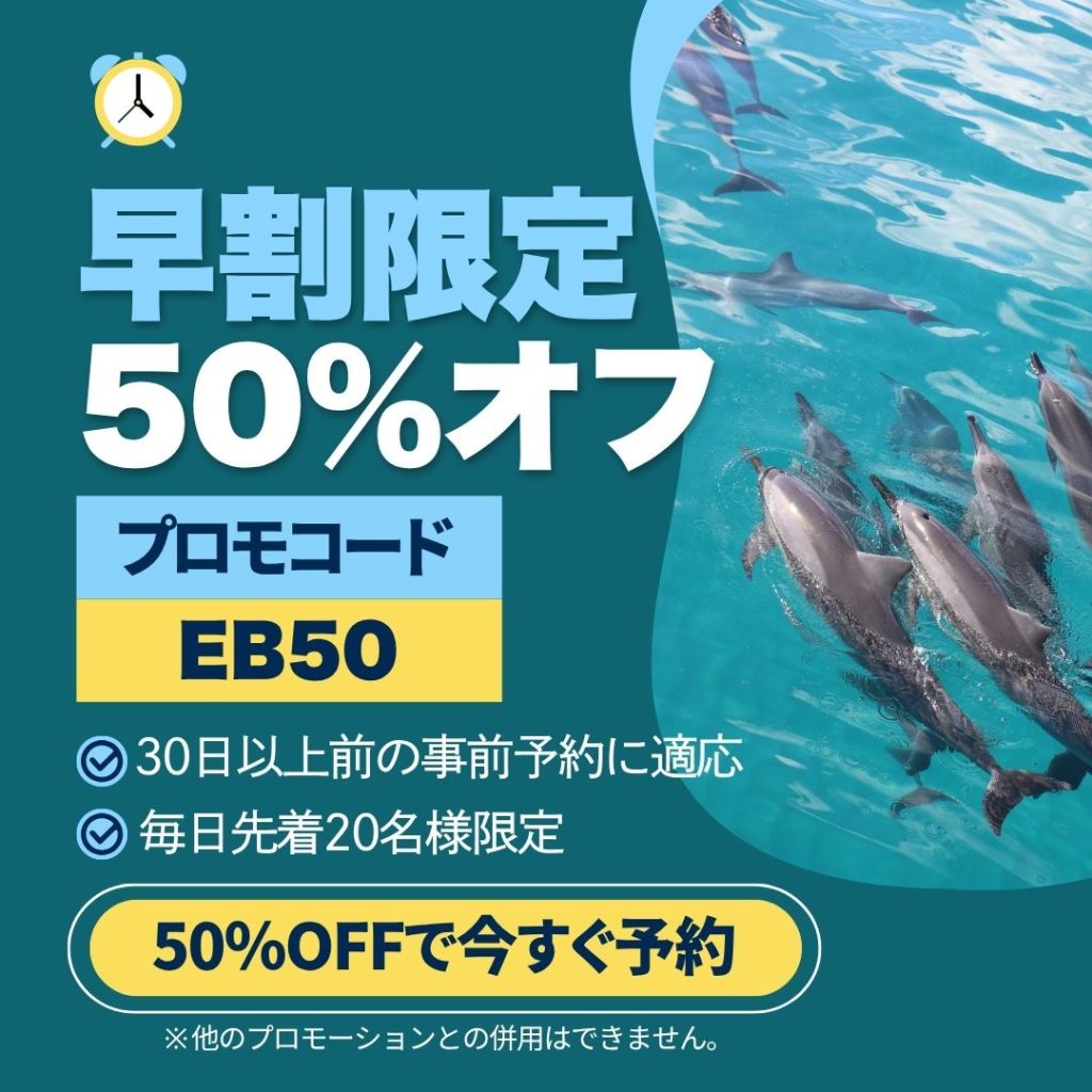 早割りキャンペーン　50％オフ