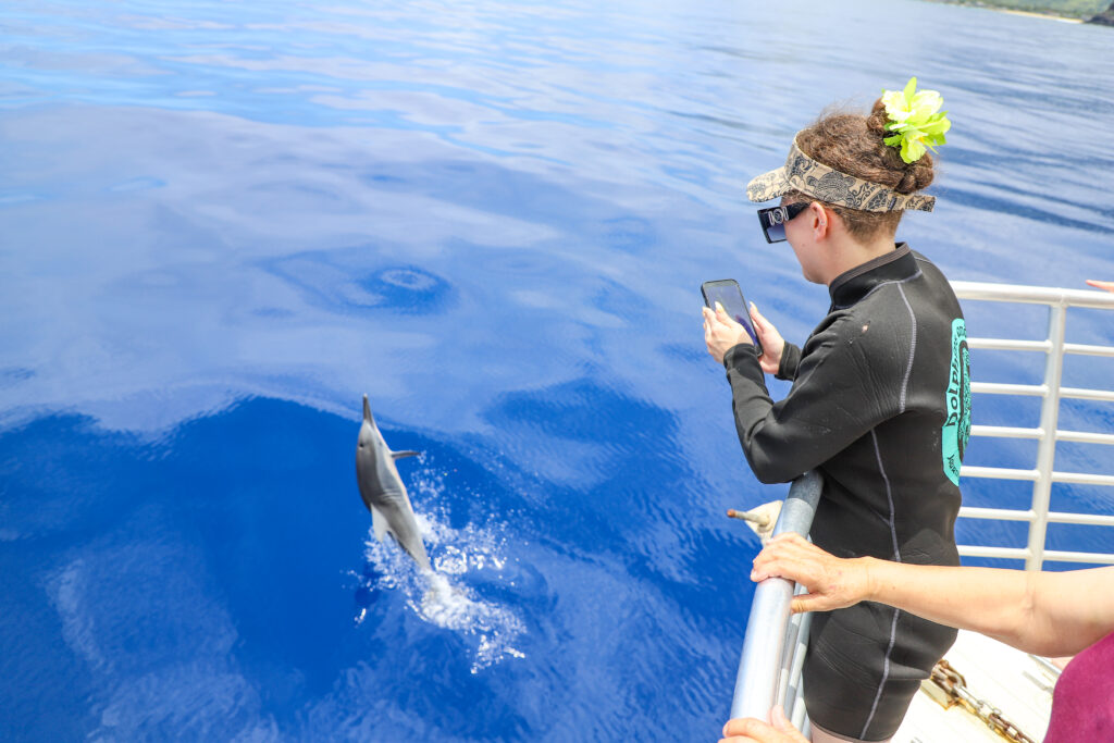 hawaii dolphin vision