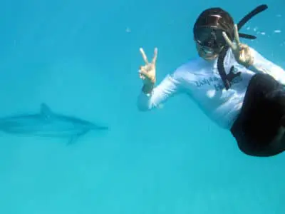 Swimming with dolphins