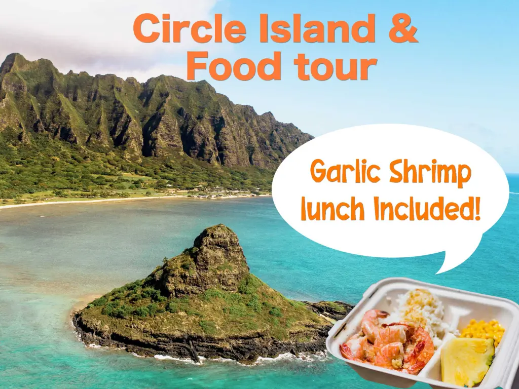 Circle Island tour combo