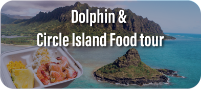 Circle Island tour combo