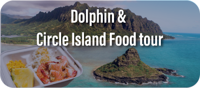 Circle Island tour combo