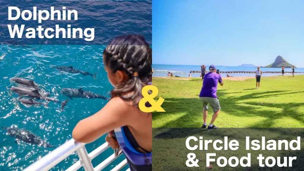Dolphin tour and Circle Island tour combo