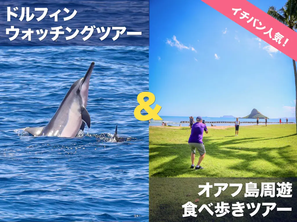 イルカツアーとオアフ島周遊ツアーのセットプラン