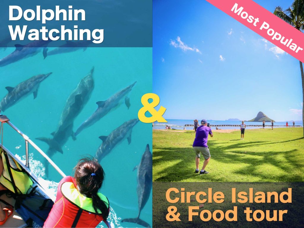 Dolphin watching and Circle island tour Combo