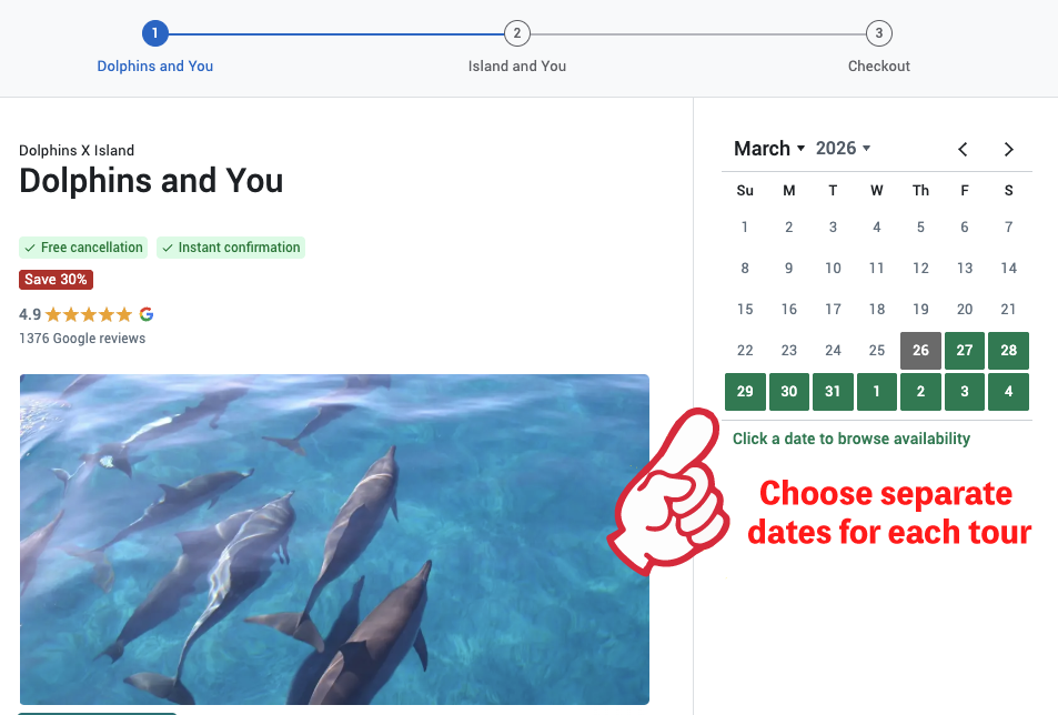 Dolphin & Circle island tour package 2