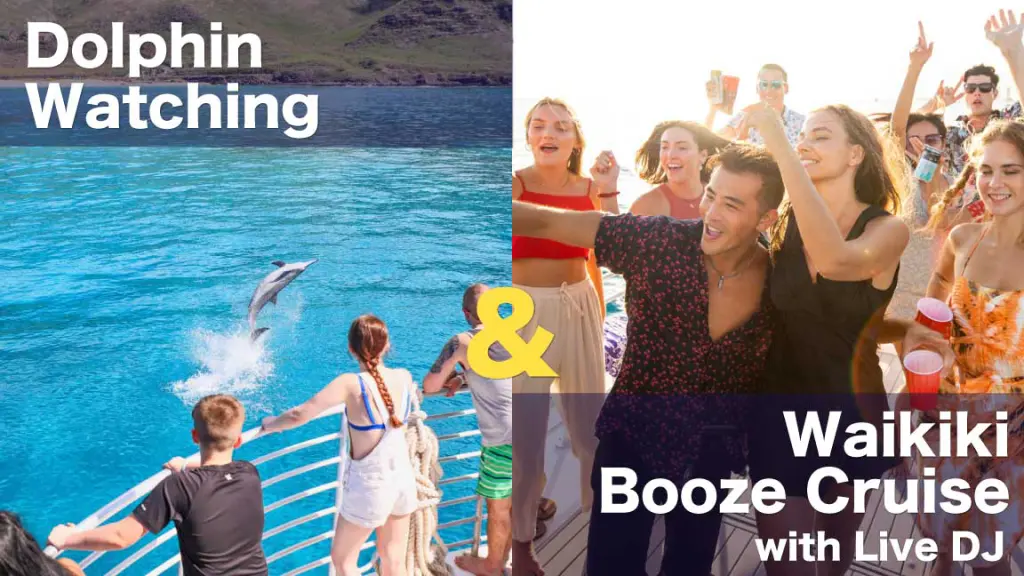 Dolphin tour and Party cruise combo