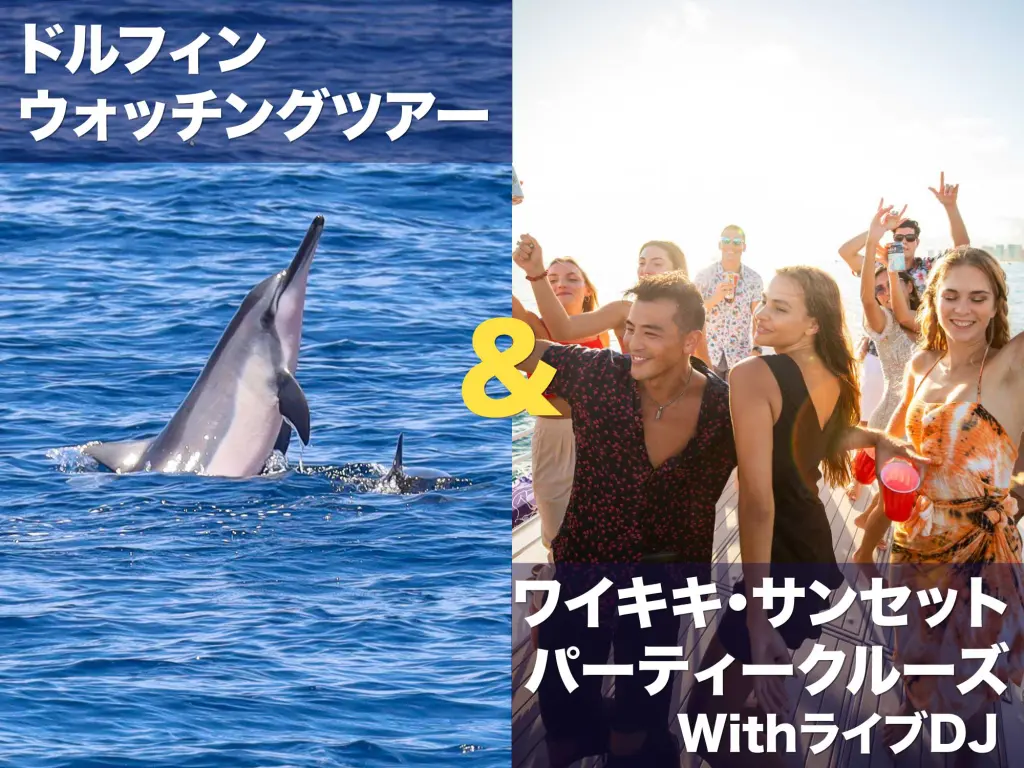 イルカツアーとパーティークルーズのセットプラン