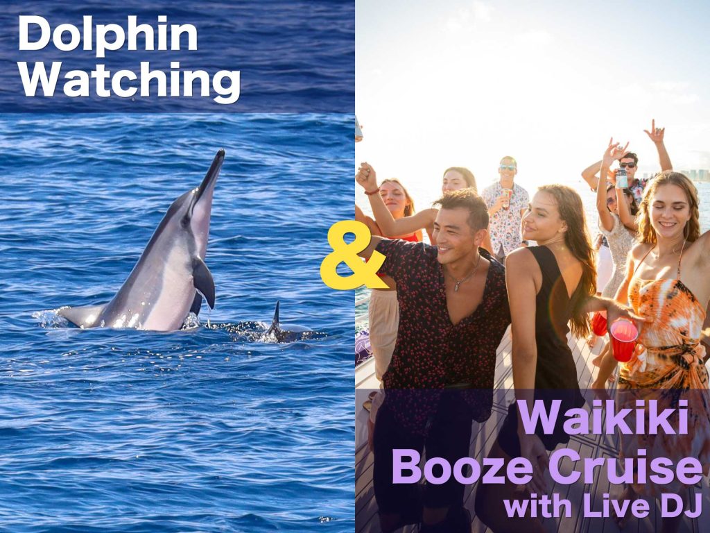 Dolphin watching and Party Cruise Combo