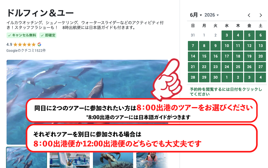 イルカツアーとパーティーボートクルーズのコンボパッケージディール