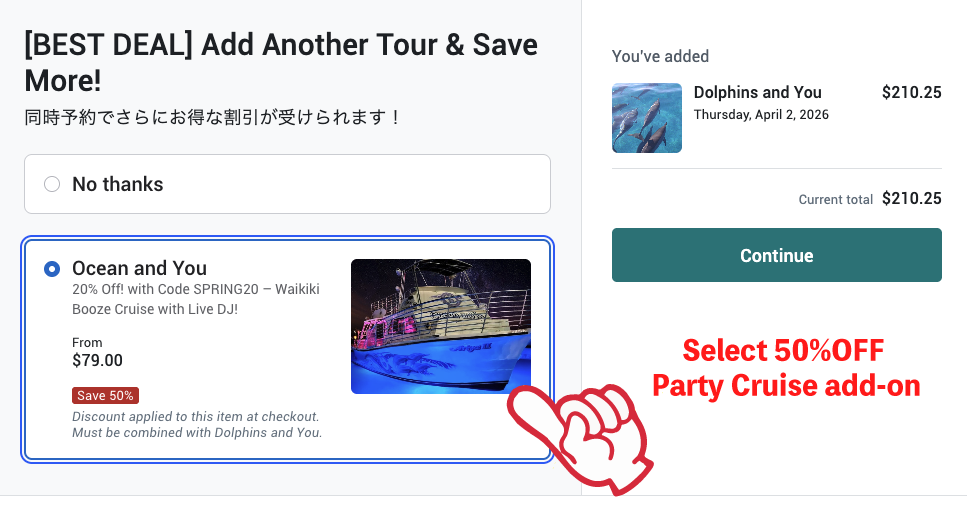 Dolphin & Party Cruise package 2