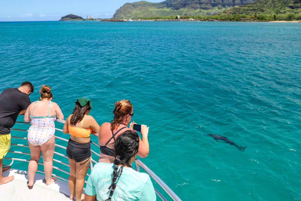 Oahu Dolphin Tour