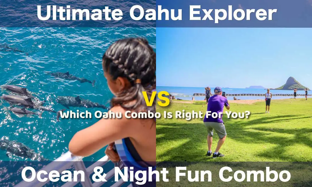 Read more about the article Which Oahu Dolphin Tour Combo Should You Choose?