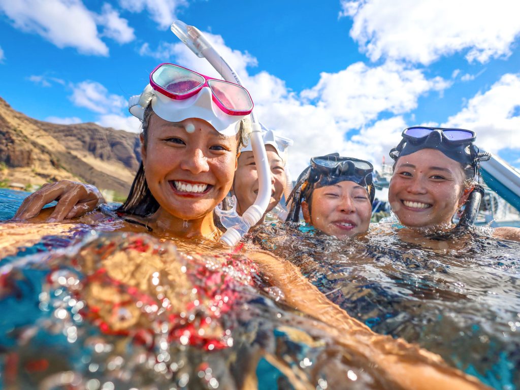dolphin watching tour snorkeling