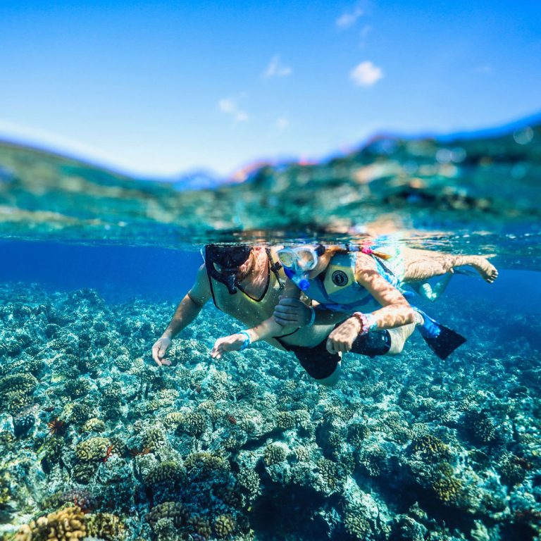Family-friendly snorkeling tour