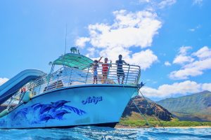 Read more about the article 船酔いしやすい人必見！ハワイでイルカツアーを快適に楽しむための対策ガイド
