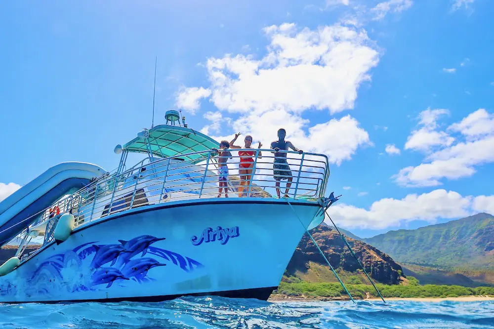 Read more about the article 船酔いしやすい人必見！ハワイでイルカツアーを快適に楽しむための対策ガイド