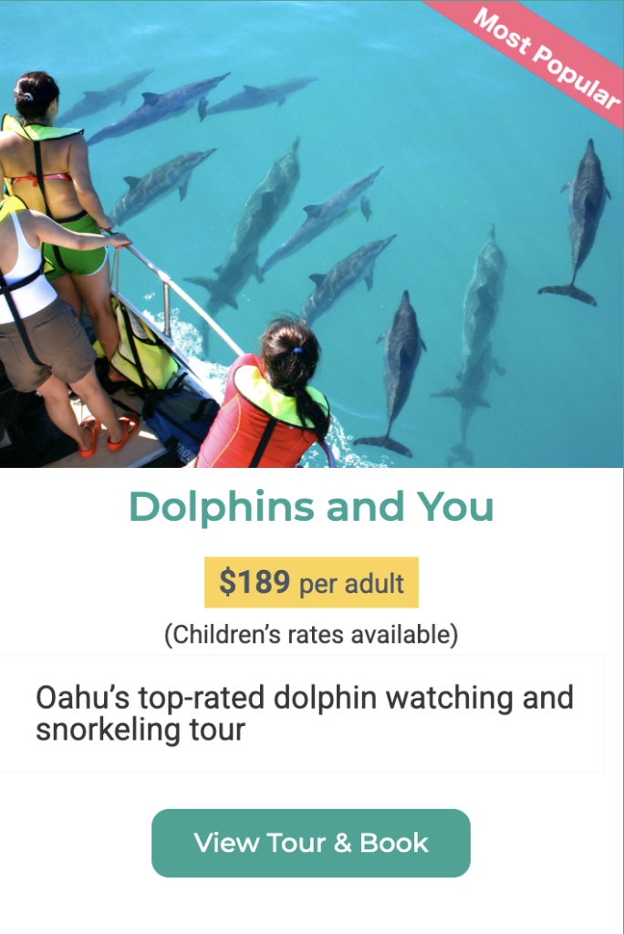 Most Popular Dolphin tour