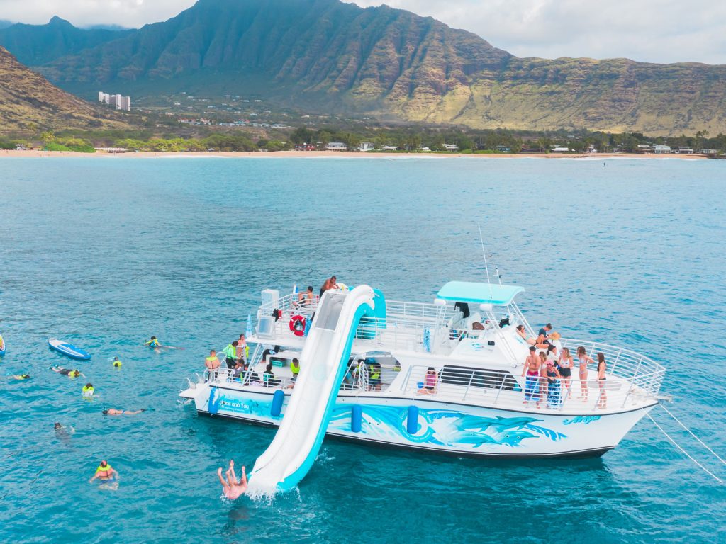 Dolphin watching with water activities