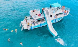 Read more about the article Is a Dolphin Tour in Oahu Safe? What You Should Know