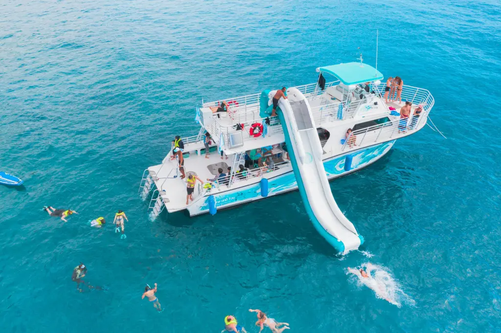 Best Oahu Tour: Dolphins and You