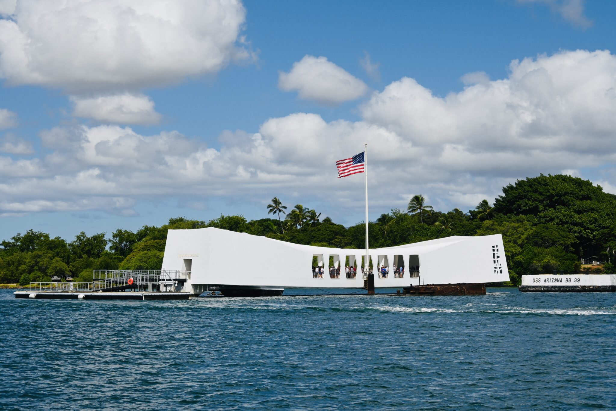 Oahu Pearl Harbor Dolphin