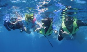 ハワイの海で泳ぐ