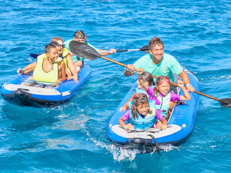 dolphin watching tour kayaking