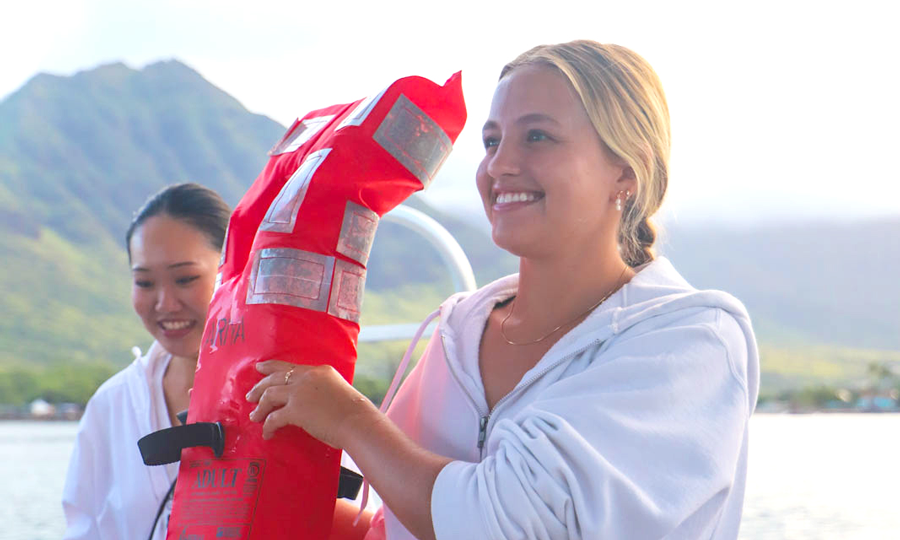 Read more about the article Is It Safe to See Dolphins in Hawaii? Oahu Dolphin Tours Guide