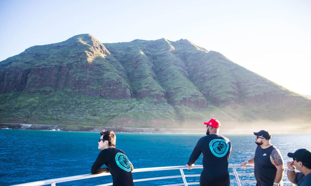 Best Time to Book an Oahu Dolphin Tour