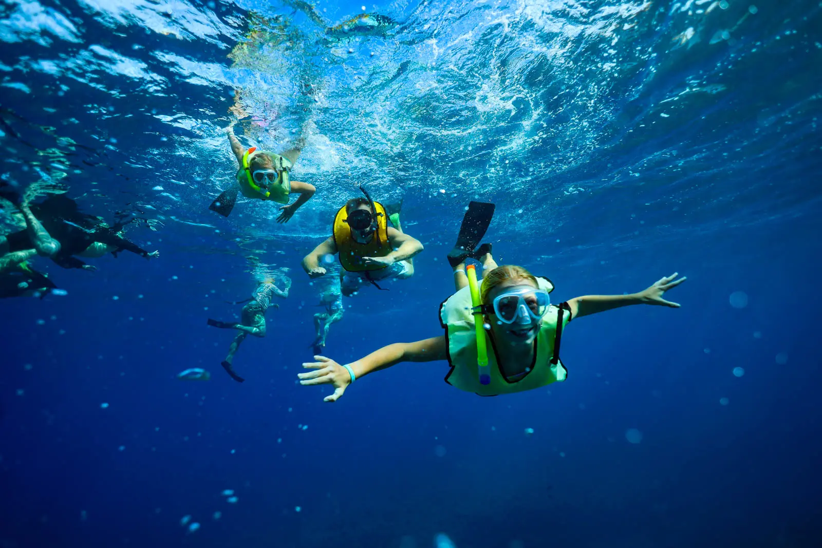 Read more about the article Capturing your Unforgettable Moments: Hawaii Dolphins and You Photo Package