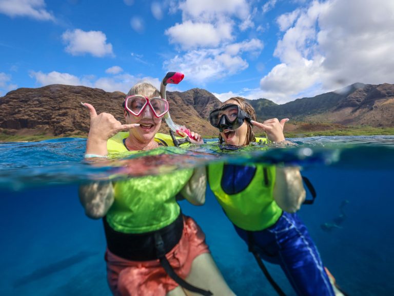 Dolphin watching water activities