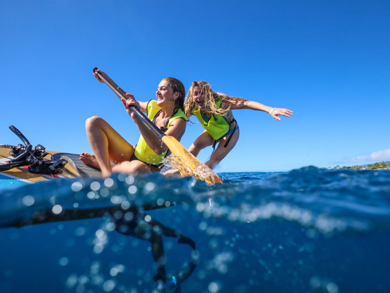 dolphin watching tour water activities